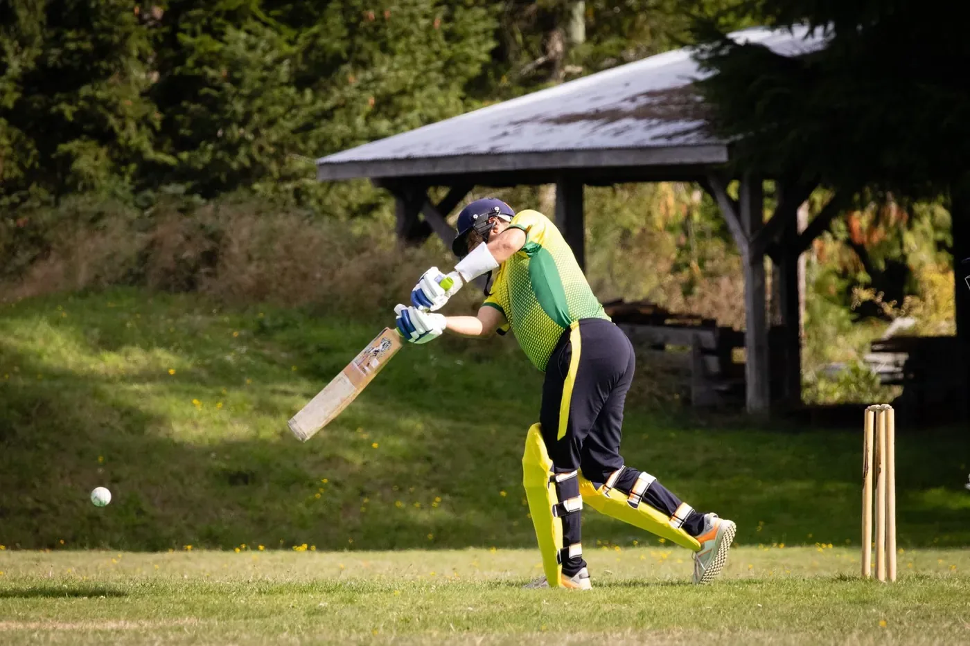 Cricket